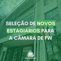 Câmara de Vereadores seleciona novos estagiários