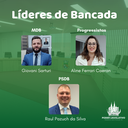 O Poder Legislativo em 2024 – Conheça os líderes de bancada